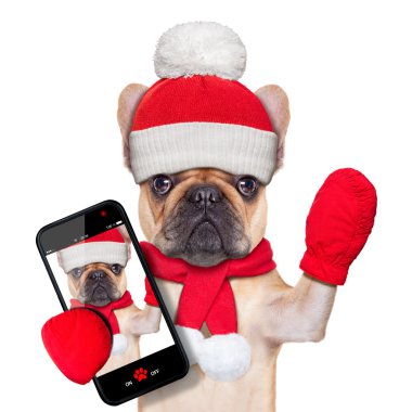 Noel selfie köpek