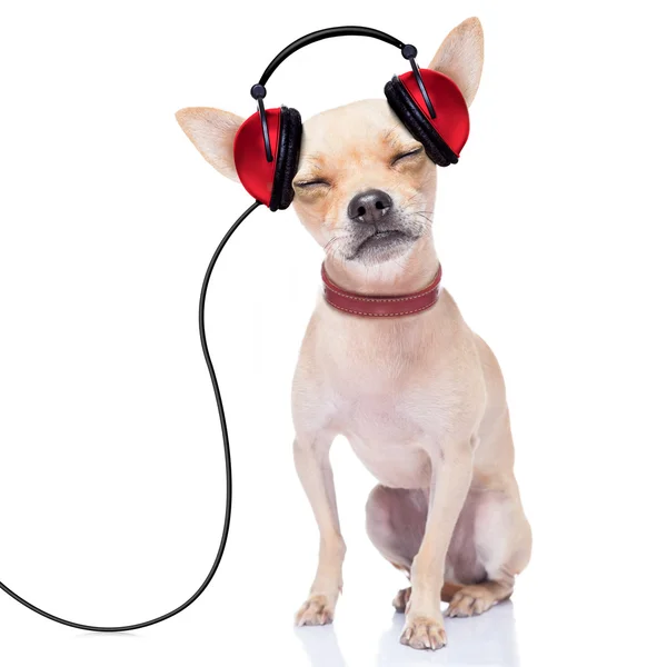 Dog music — Stock Photo © damedeeso 77888152