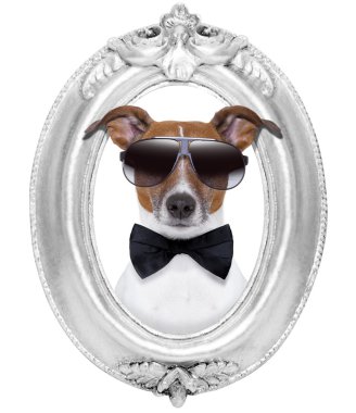 dog in a frame clipart