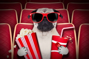 köpek filmleri 