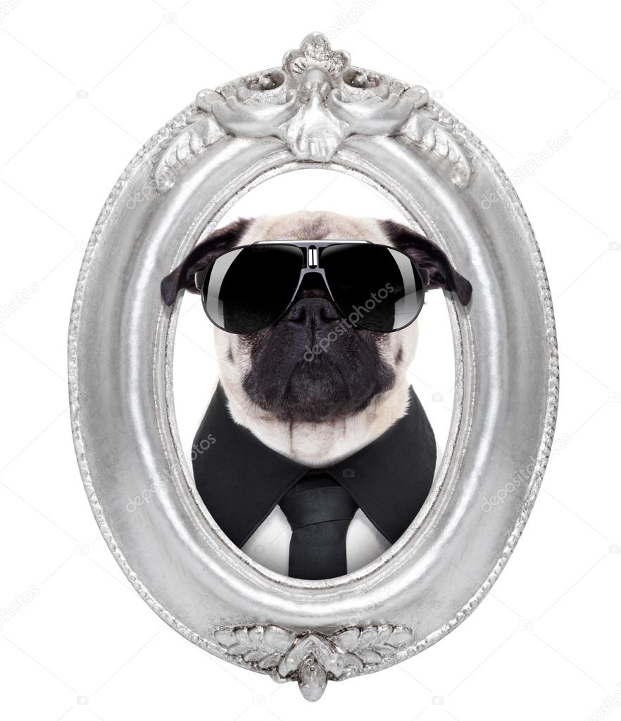 dog in a frame