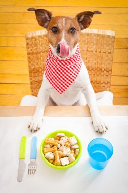 Hungry dog clipart