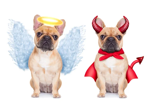 Devil and Angel — Stock Photo, Image