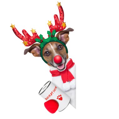 Ren geyiği köpek