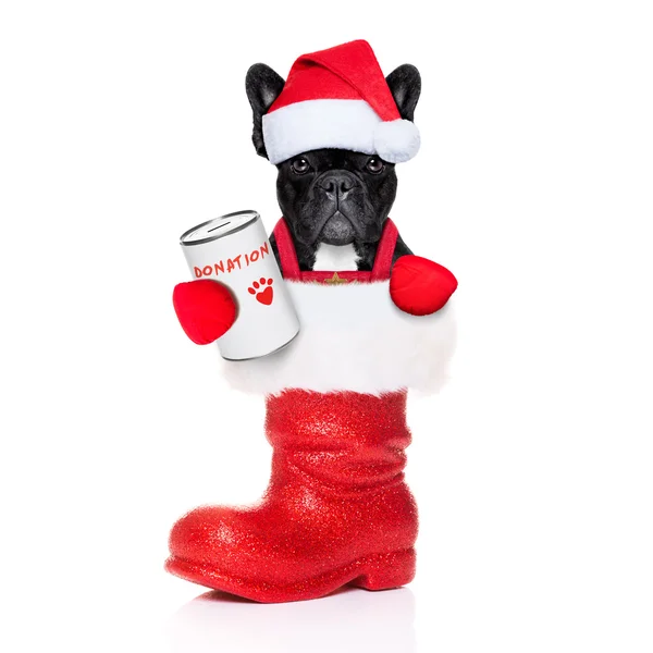Santa pies — Zdjęcie stockowe