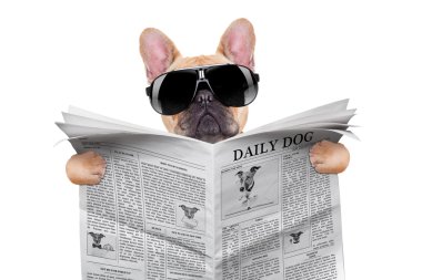 Köpek Okuma