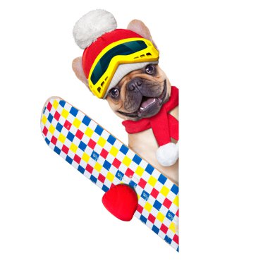 köpek Kayak Kış