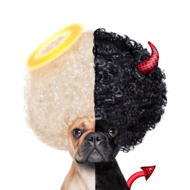 iyi ve kötü köpek