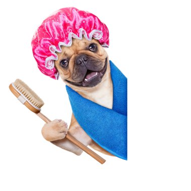 Sağlık köpek