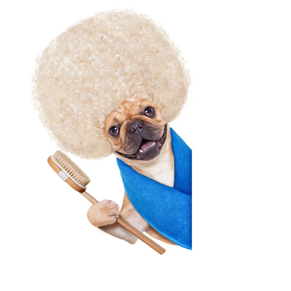 Wellness dog — Stock Photo, Image