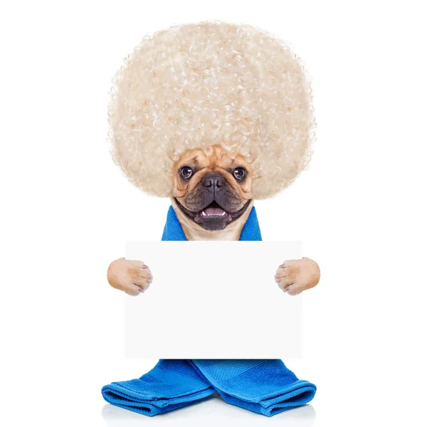 Wellness dog — Stock Photo, Image