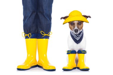 köpeği yürüyüşe hazır