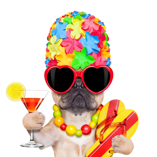 Tropical vacation dog — Stock Photo, Image