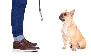 Köpek ve Sahibi