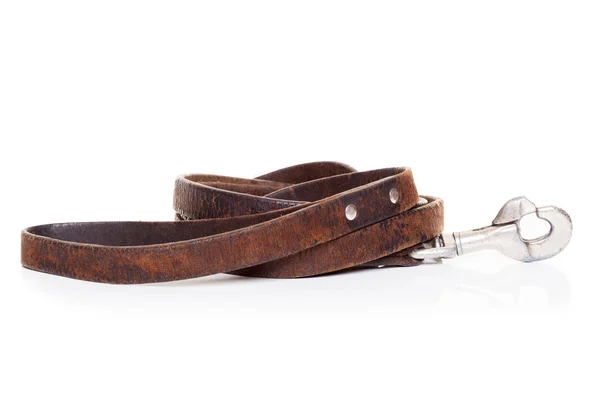 Leather leash — Stock Photo, Image