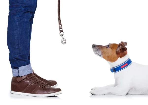 Dog and owner — Stock Photo, Image