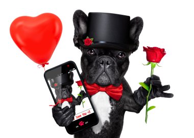 Sevgililer selfie köpek 