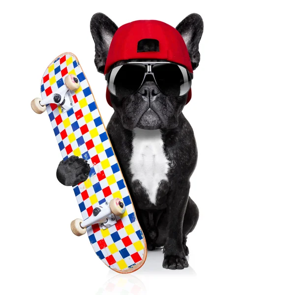 Skateboard schaatser hond — Stockfoto