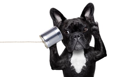 dog phone telpehone clipart