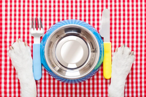 Tigela de comida para cães — Fotografia de Stock