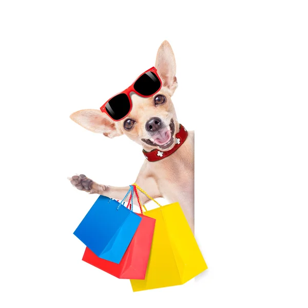 Shopping hund — Stockfoto