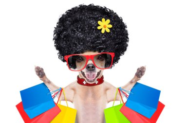 alışveriş köpek 
