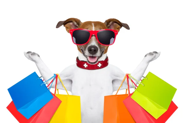 Cão de compras — Fotografia de Stock