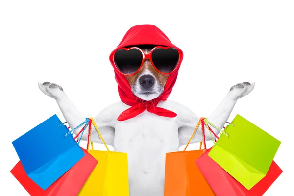 ショッピング犬 — ストック写真