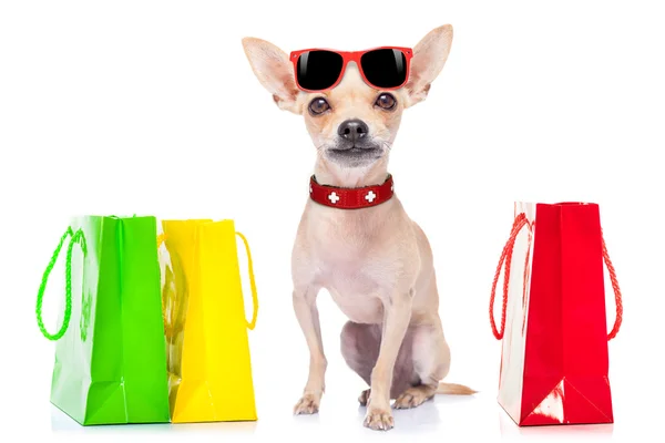 Shopping hund — Stockfoto