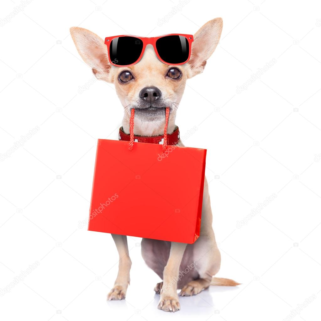 shopping dog 