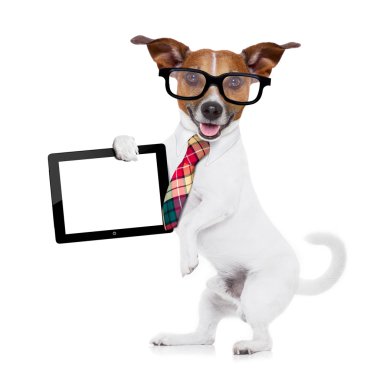 iş adamı köpek