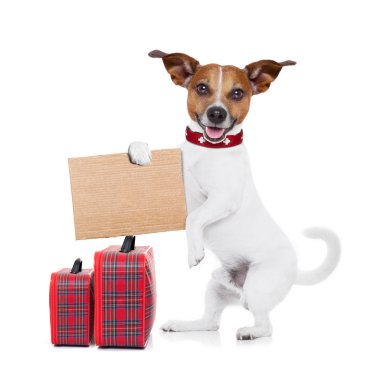 hitchhiker dog clipart
