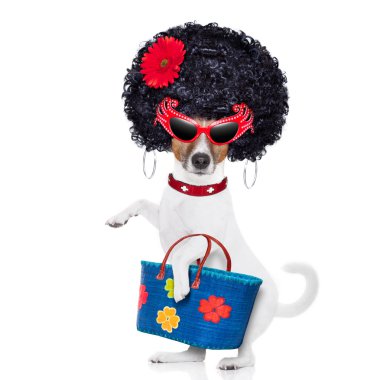 alışveriş köpek diva