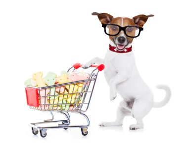 alışveriş sepeti ile köpek