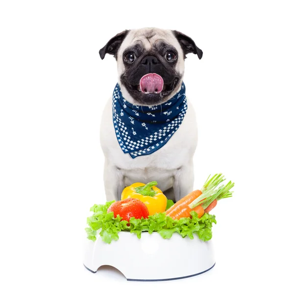 Perro hambriento con tazón saludable — Foto de Stock