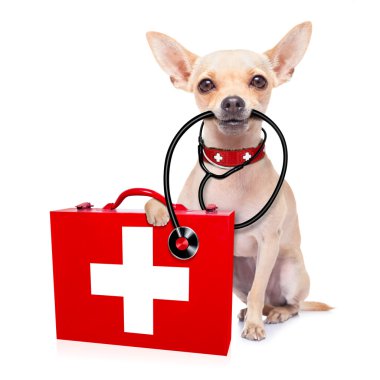 medical doctor dog clipart