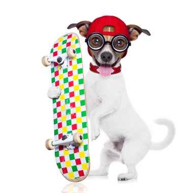 patenci çocuk köpek