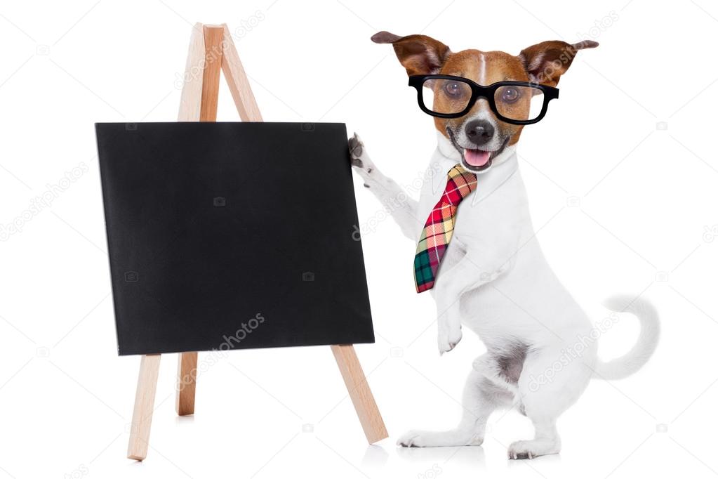 business dog with blackboard