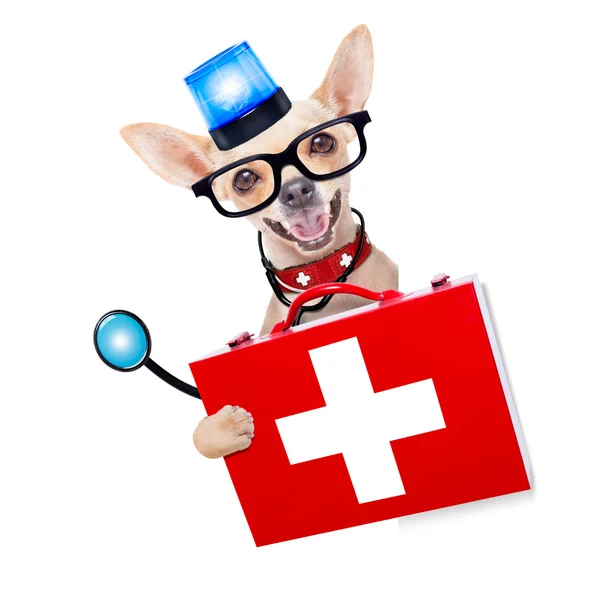 Médico de emergencia médico perro — Foto de Stock