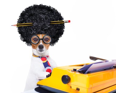 Sekreter daktilo köpek    