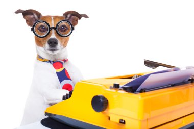 Sekreter daktilo köpek    
