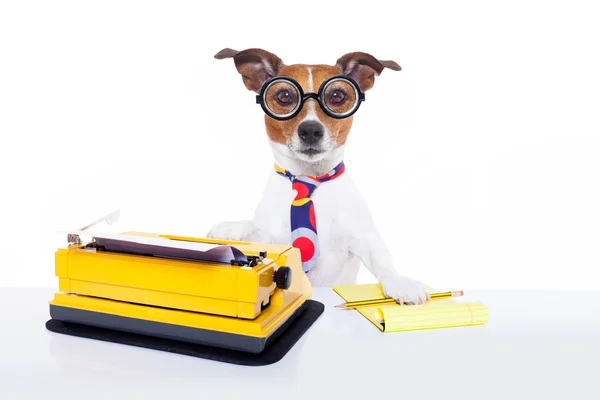 Secretario máquina de escribir perro — Foto de Stock