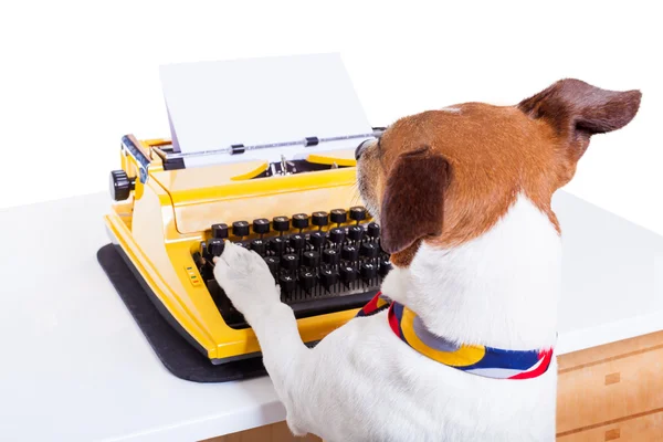 Secretario máquina de escribir perro — Foto de Stock