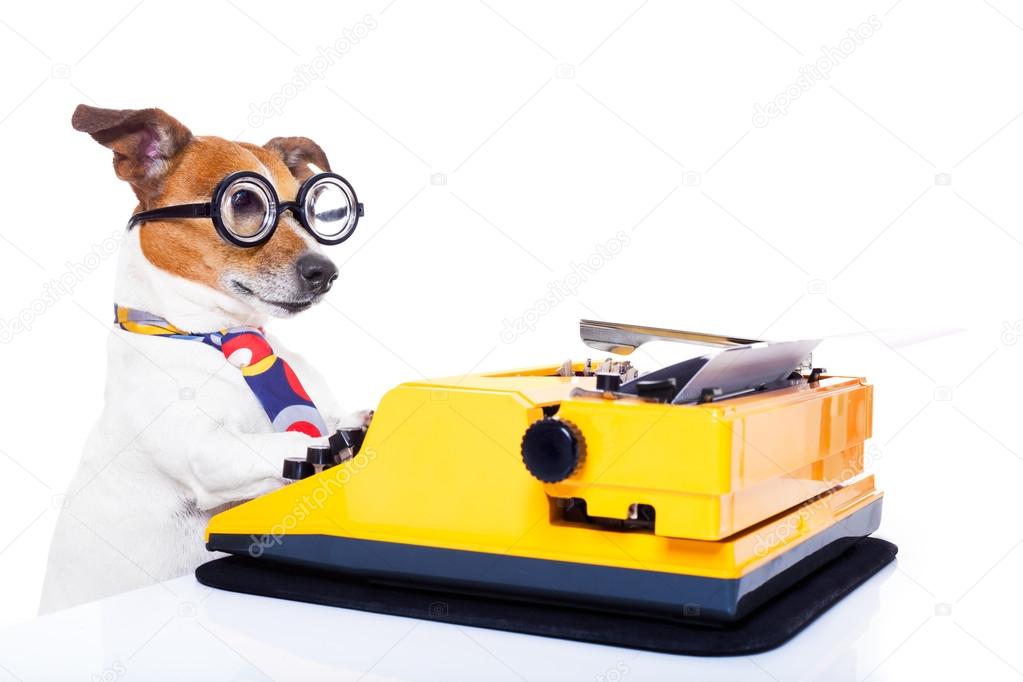 secretary typewriter  dog    