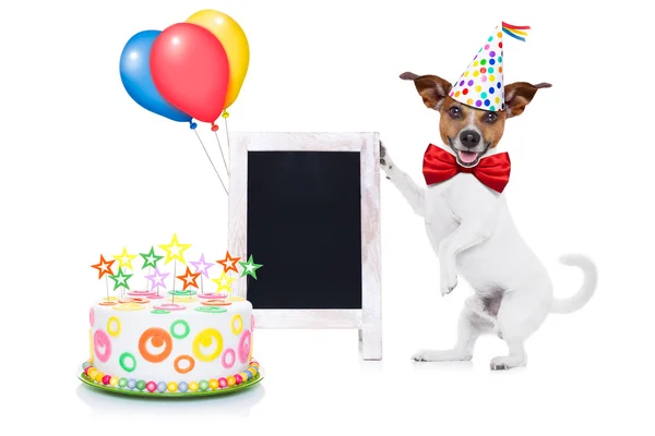 Feliz aniversário cão — Fotografia de Stock