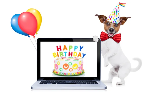 Feliz aniversário cão — Fotografia de Stock