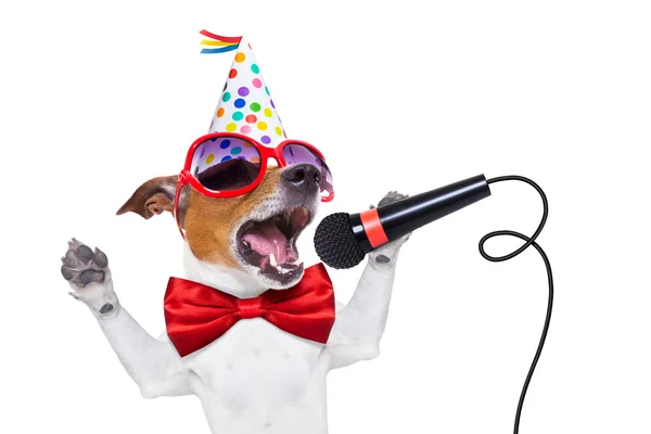 Happy birthday dog singing — Stock Photo, Image