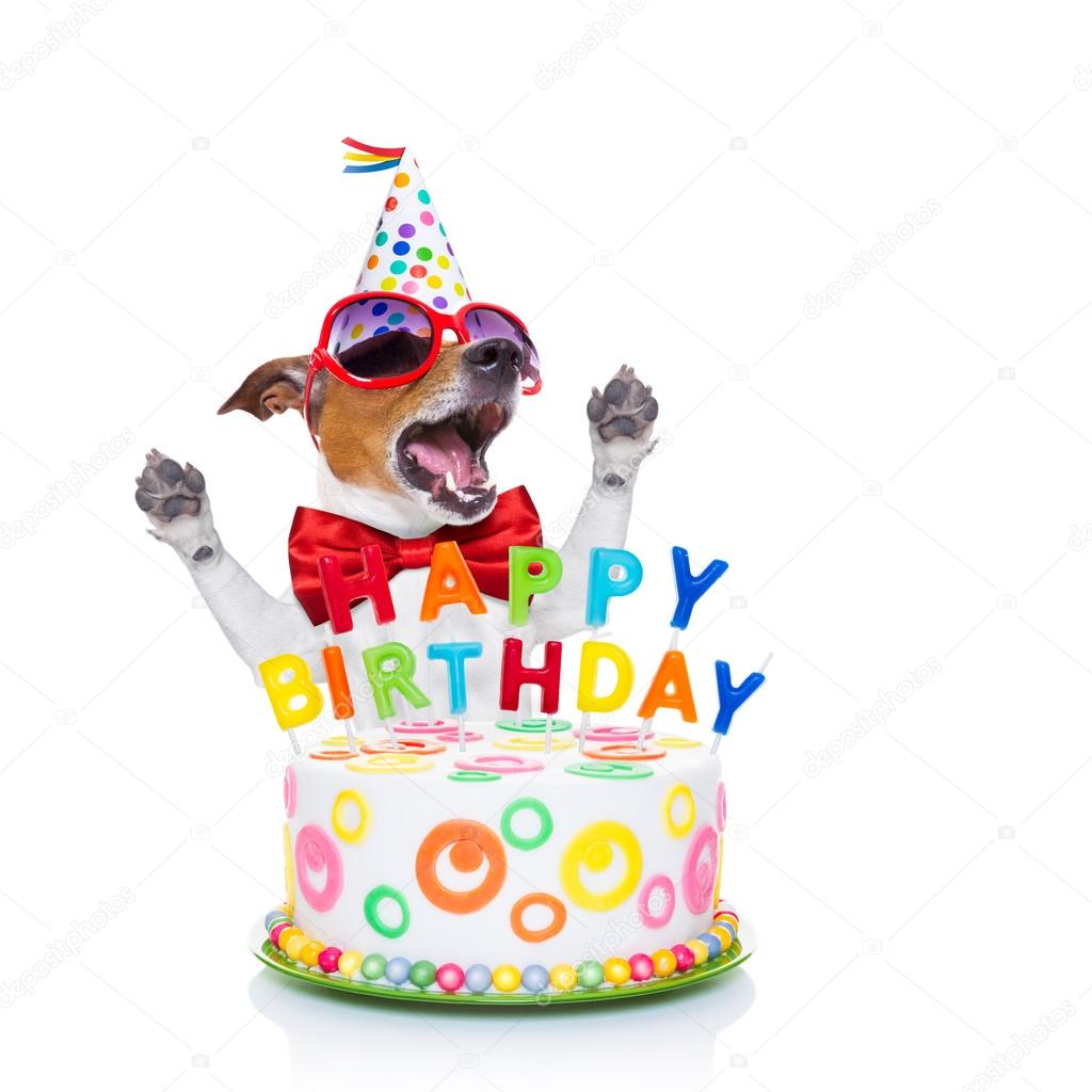С днем рождения я пою. С днём рождения Джек Рассел. С днём рождения собачки. Открытка с днём рождения с собачкой. Джек Рассел стлнём рождения.