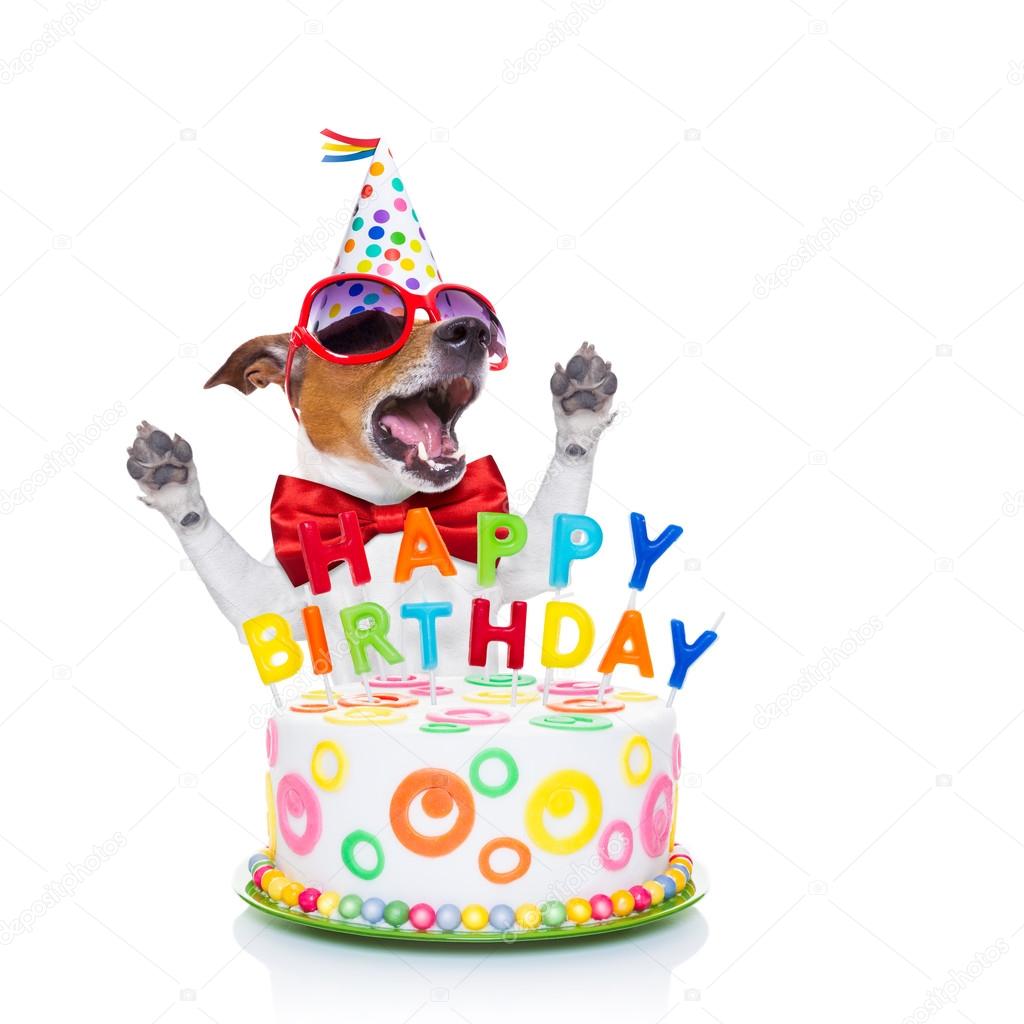 happy birthday dog singing