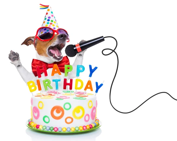 Feliz cumpleaños perro — Foto de Stock